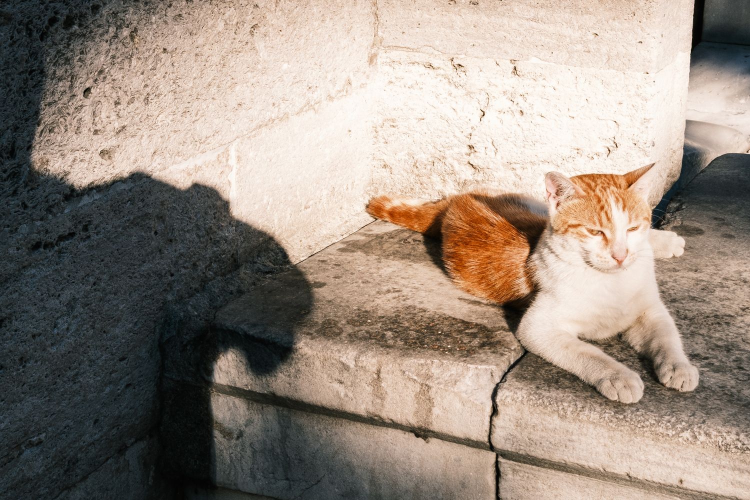 Onur - Photography
