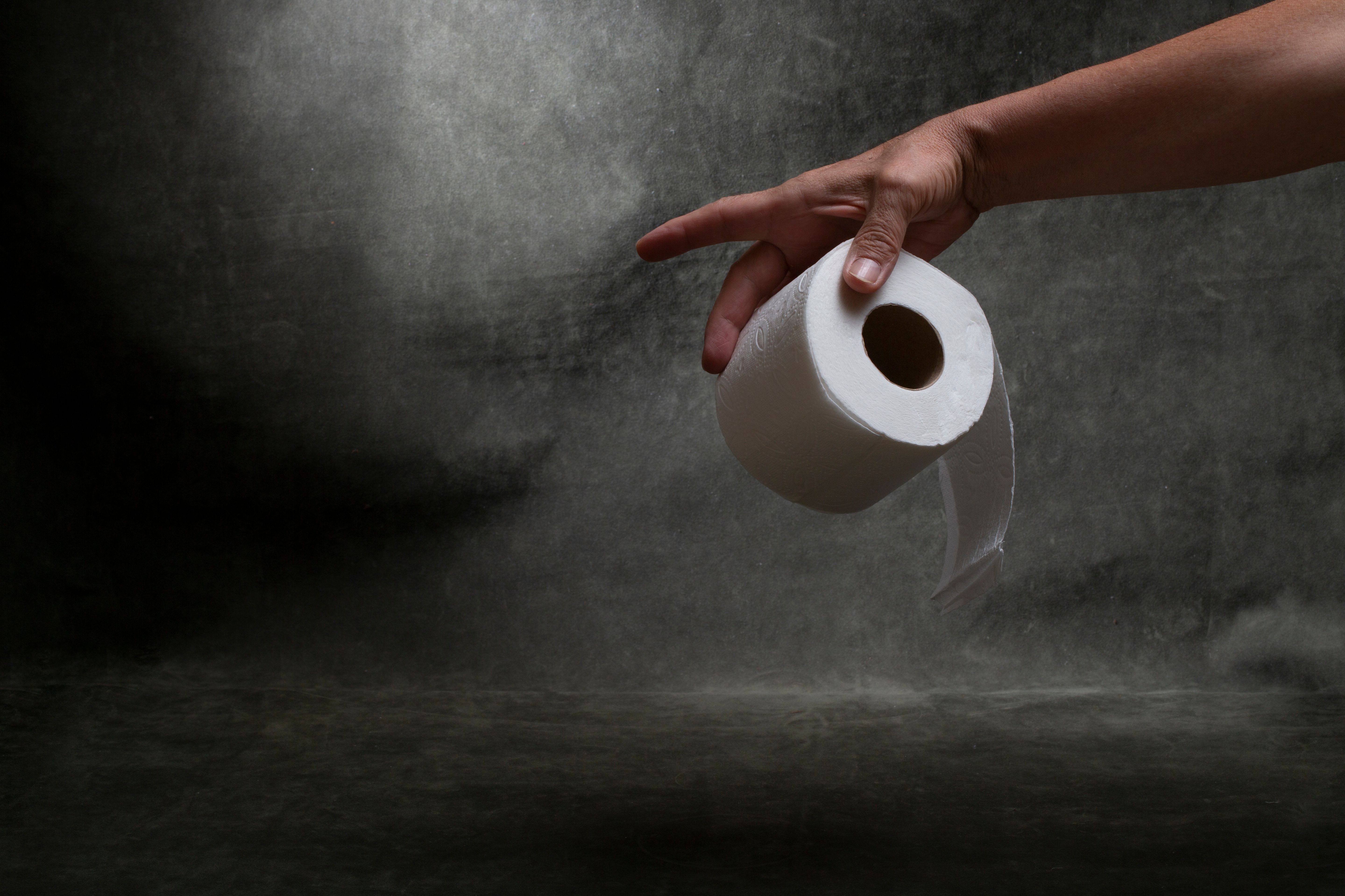 Papel Higiênico (12 rolos)