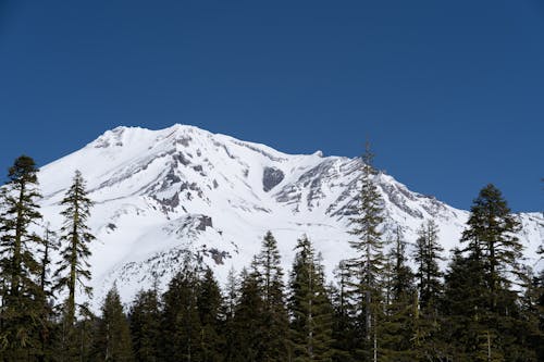 бесплатная Бесплатное стоковое фото с гора, гора шаста, горы Стоковое фото