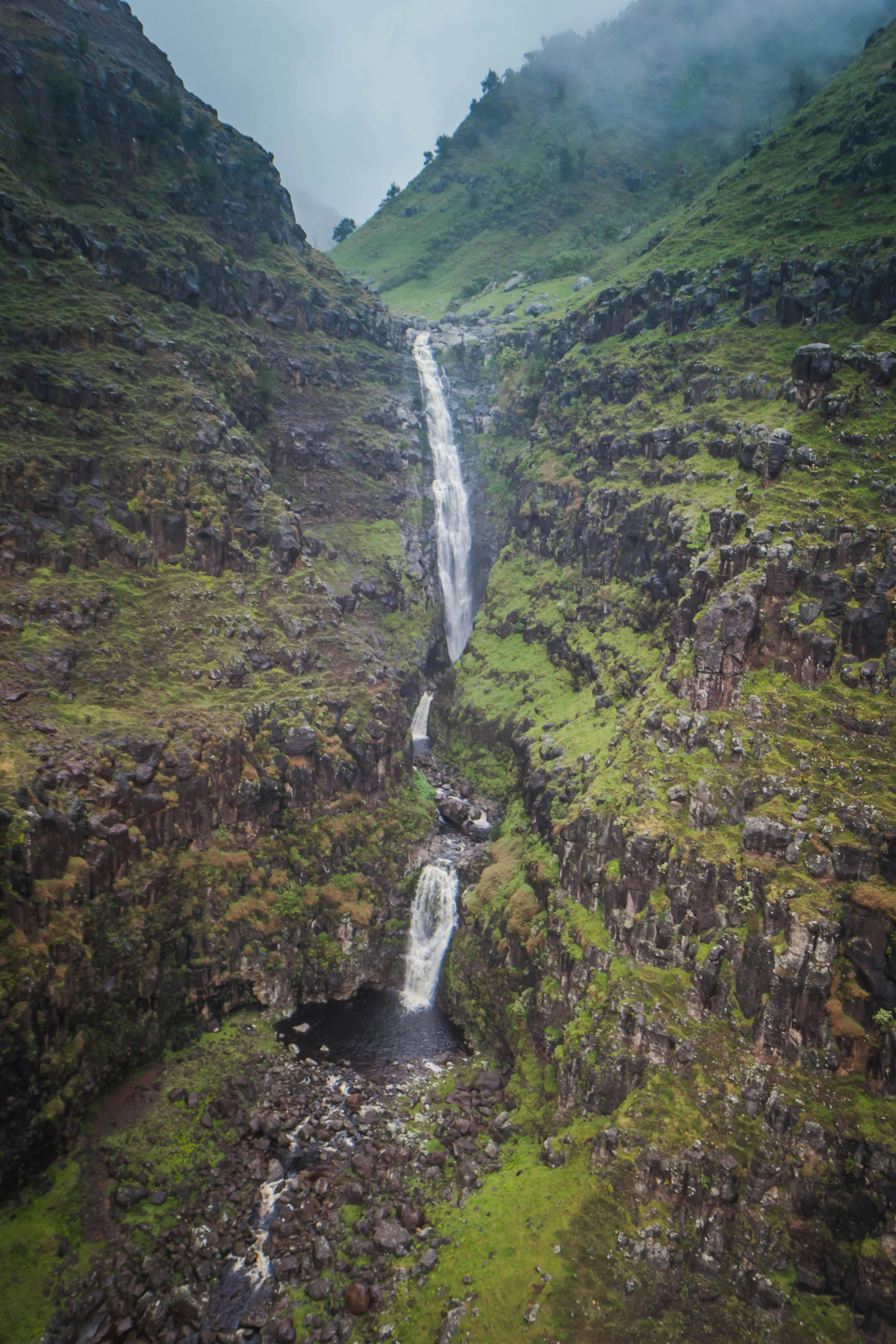 Free stock photo of hawaii, jurassic falls, jurassic park