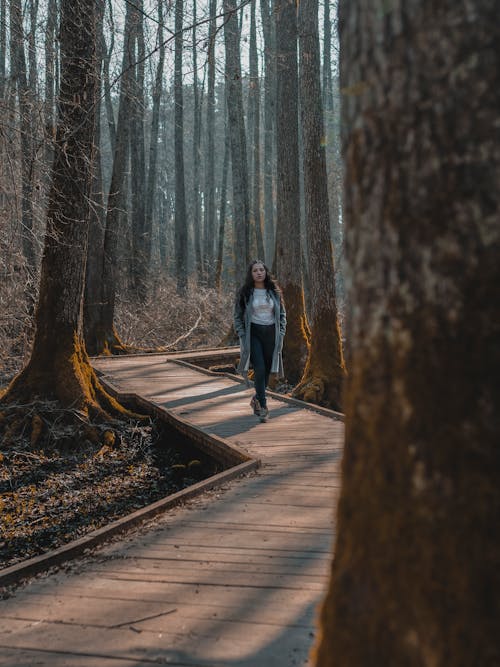 Woman Walking on Wooden Pathway Between Trees