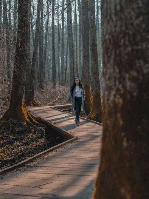 Free Woman strolling along a scenic wooden trail within a tranquil autumn forest setting. Stock Photo