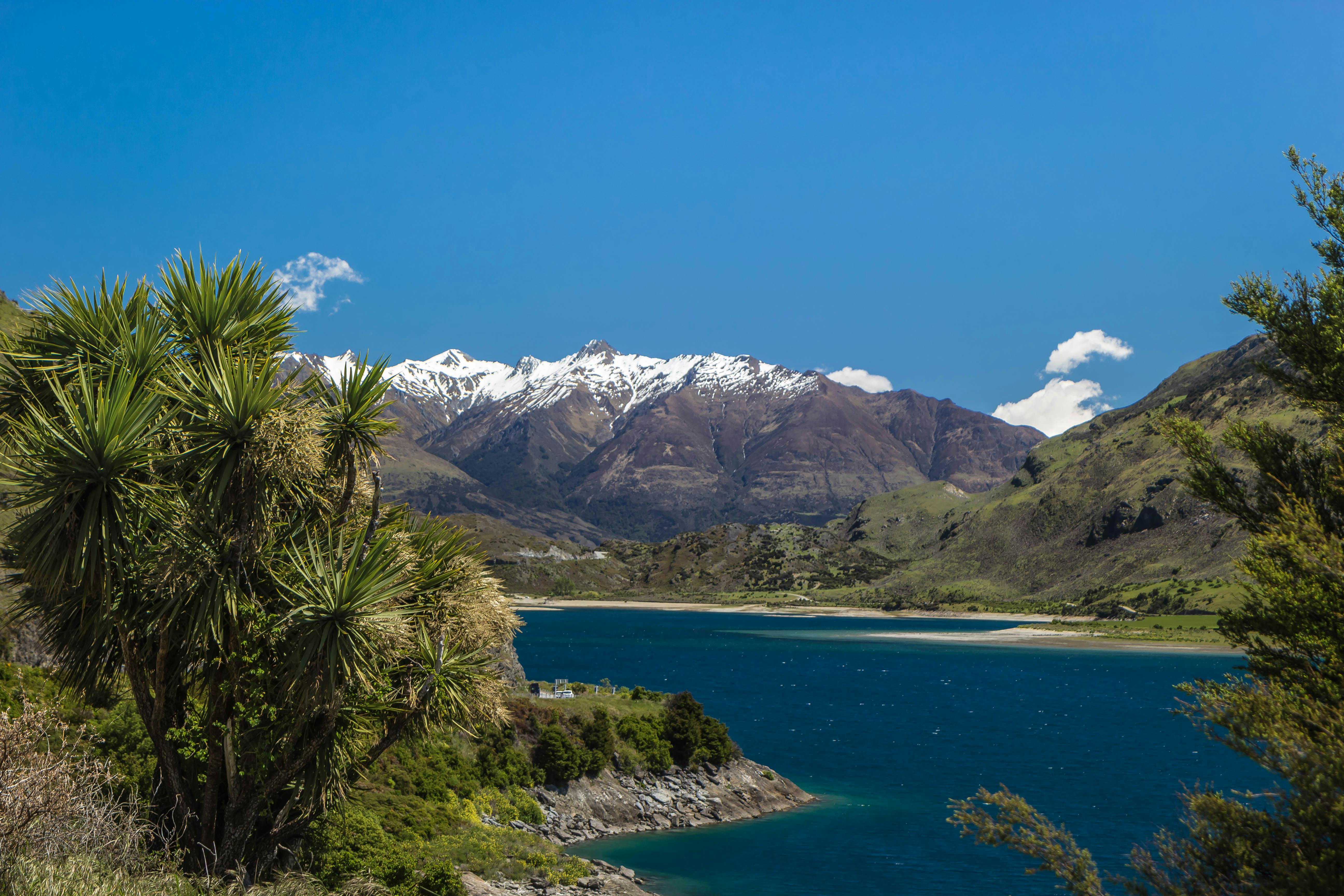 Free stock photo of mountains, new zealand