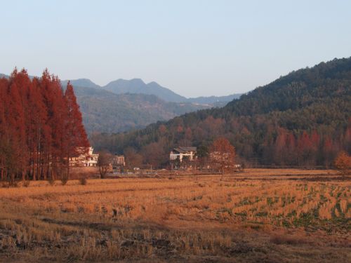 Free Captivating autumn landscape featuring colorful trees, mountains, and expansive fields under a clear sky. Stock Photo