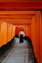 A Man Walking on a Path with Senbon Torii