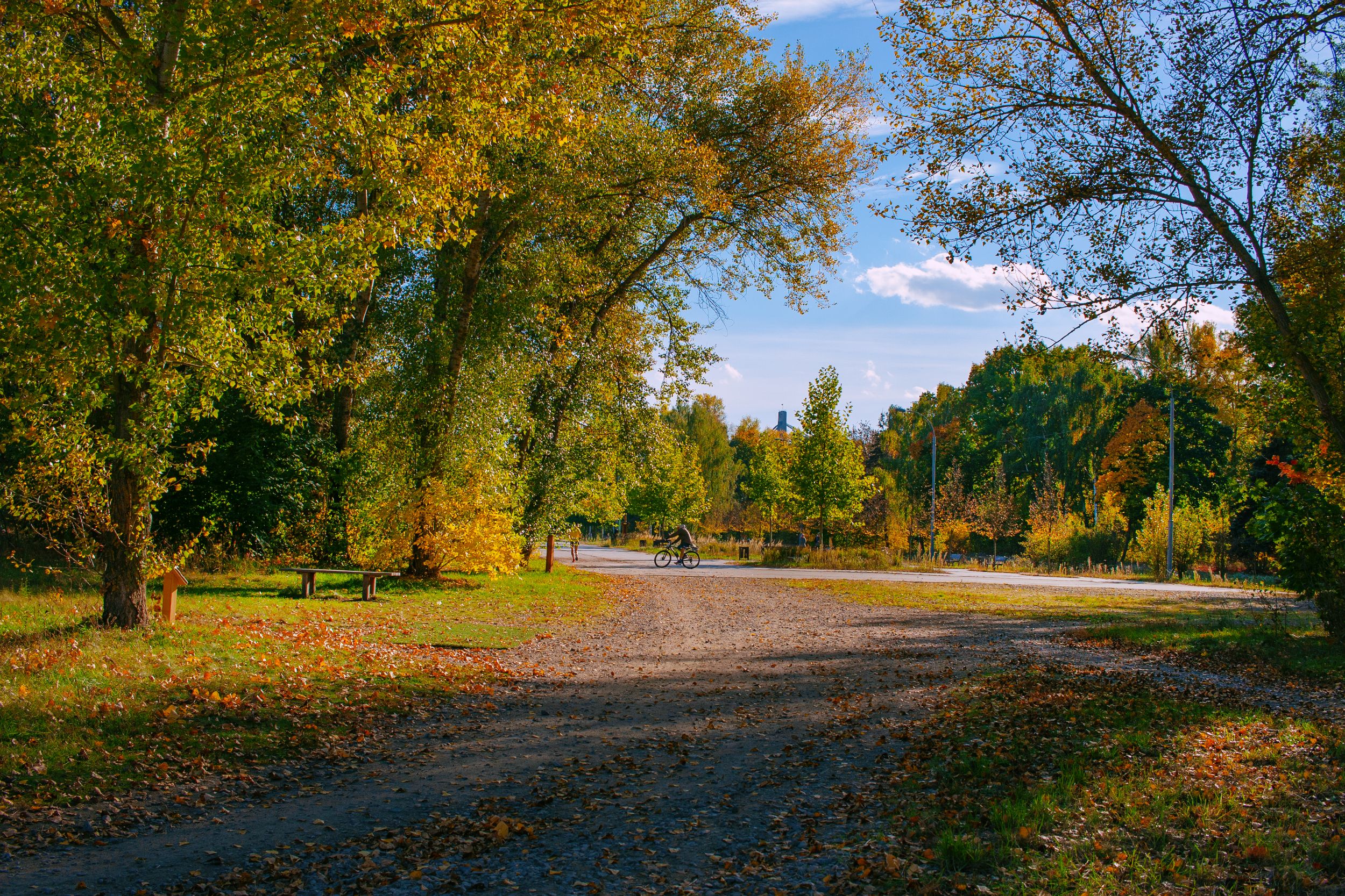Vélo gravel en automne 2026 : préparer ses premières sorties sur chemins