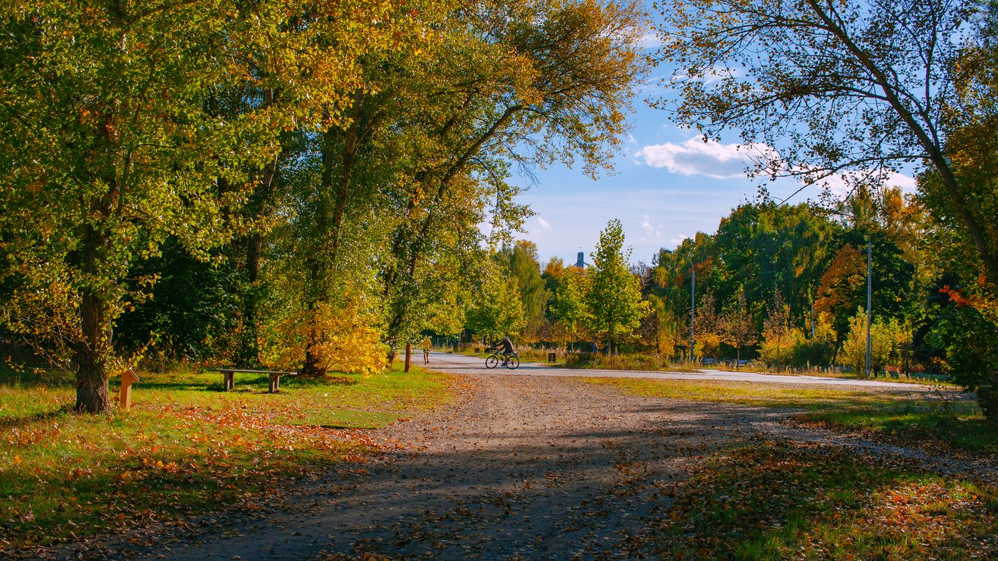 Vélo gravel en automne 2026 : préparer ses premières sorties sur chemins