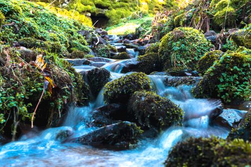 Free stock photo of autumn, beautiful, brook Stock Photo