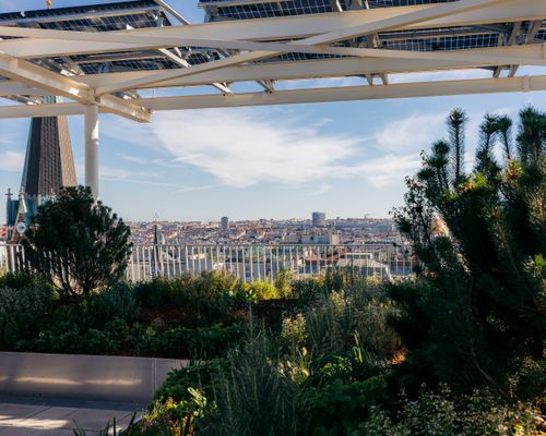 Free Lush rooftop garden under solar panels with Vienna's skyline in the background, showcasing urban sustainability. Stock Photo