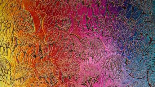 Free Colorful abstract art showing a textured pattern resembling cracked paint in vivid hues. Stock Photo