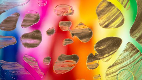 Free Colorful abstract art with vibrant swirls and organic shapes on a rainbow background. Stock Photo