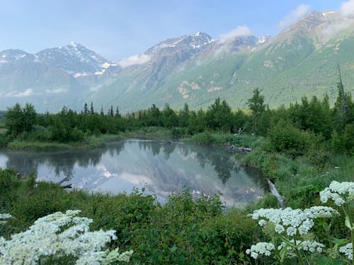 Безкоштовне стокове фото на тему «Аляска, гори, краєвид» стокове фото