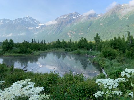 阿拉斯加州安克雷奇的山地景观宁静而郁郁葱葱，平静的湖泊倒映着山峰