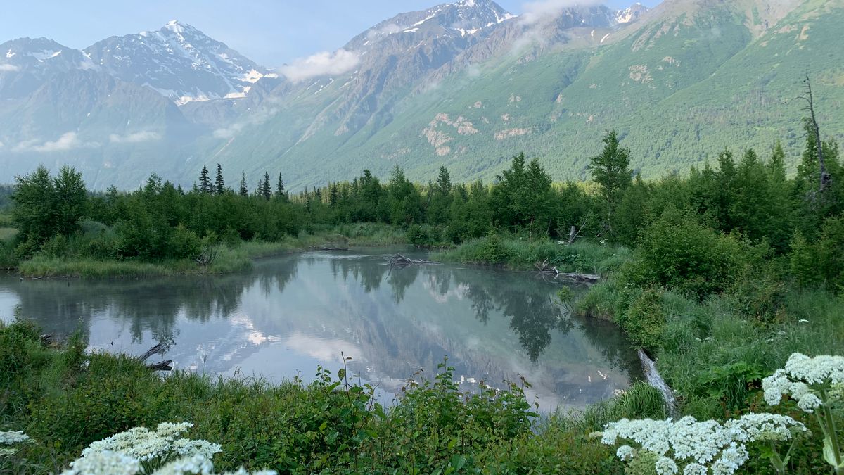 Cash Prize Sweepstakes in Anchorage, AK: Updated 2026 List for Local Winners