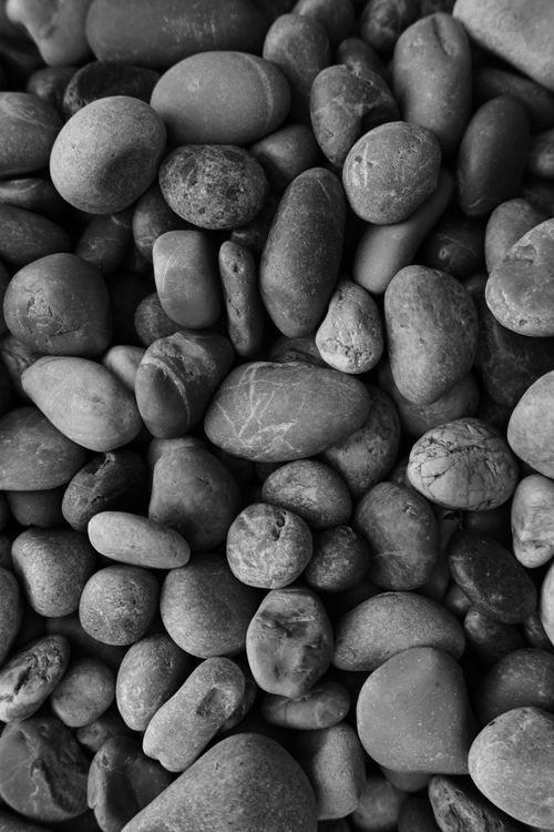 Free A monochrome close-up view of various smooth pebbles, showcasing texture and natural beauty. Stock Photo