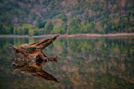 Snag Images