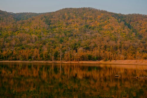 Fotobanka s bezplatnými fotkami na tému exteriéry, jazero, jeseň