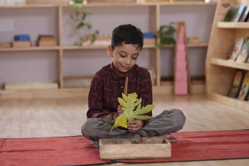 Free A young boy sitting on a mat examining a leaf in a classroom environment. Stock Photo