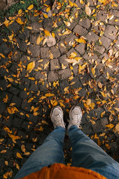 Free Shoes on cobblestone path covered in vibrant autumn leaves, captured from above. Stock Photo