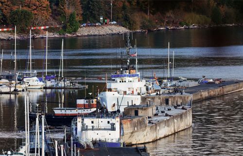 Free stock photo of port of tacoma Stock Photo