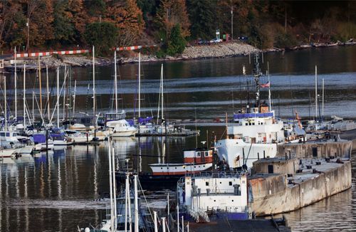 Free stock photo of port of tacoma Stock Photo