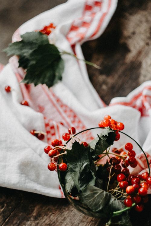 Free Close-up of bright red viburnum berries on a rustic wooden table, decorated with a linen cloth. Stock Photo