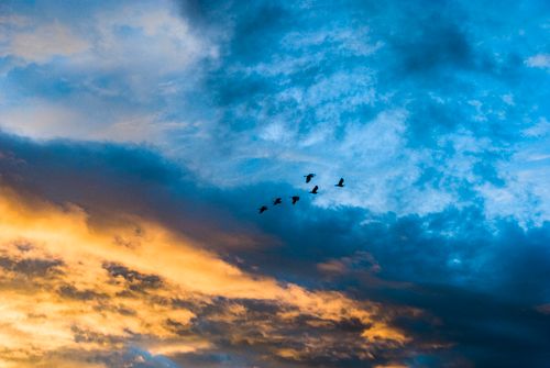 Free Vibrant sky at sunset with birds flying, showcasing vivid orange and blue hues. Stock Photo