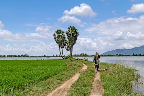 Immagine gratuita di bầu trời, bầu trời xanh, canh dong