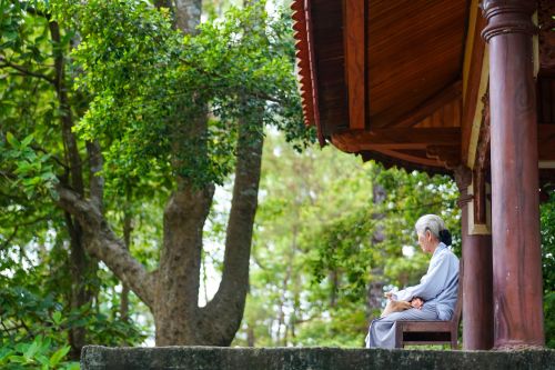 Free Serene moment of contemplation in a Buddhist setting in Hue, Vietnam. Stock Photo