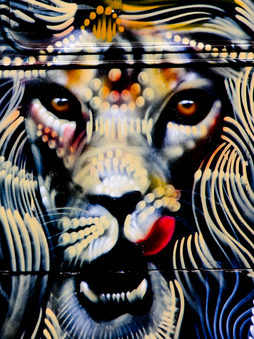 Free stock photo of big cat, colourful graffiti, eye contact Stock Photo