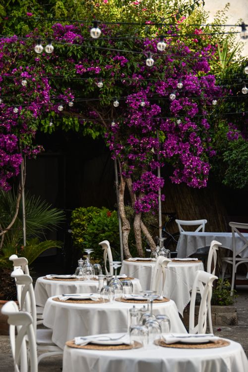 Free Elegant outdoor cafe scene with tables under vibrant bougainvillea. Stock Photo