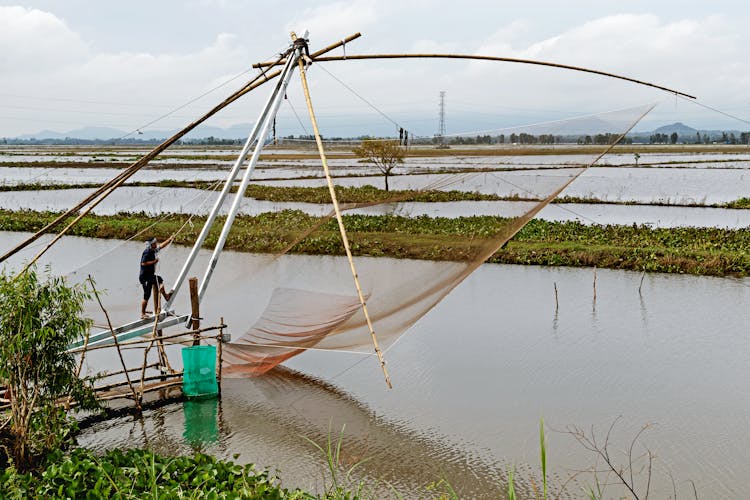 Fisherman Pulling A Rope Attached To A Net