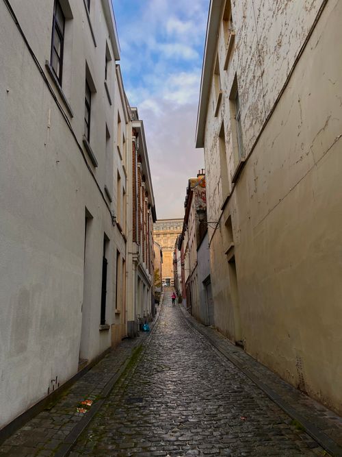 Free Narrow cobbled street in a European city with overcast sky. Stock Photo