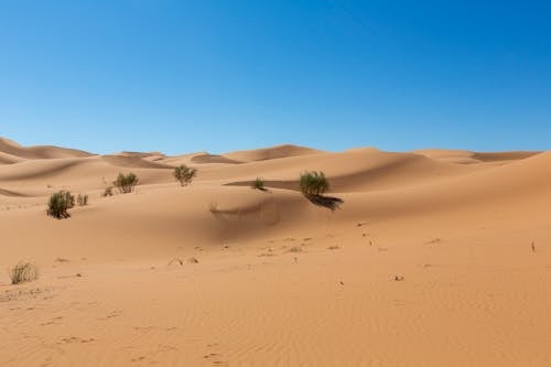 Photos gratuites de aride, désert, dunes