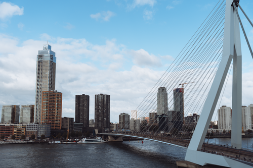 Free Skyline of Rotterdam with Erasmus Bridge, modern architecture. Stock Photo