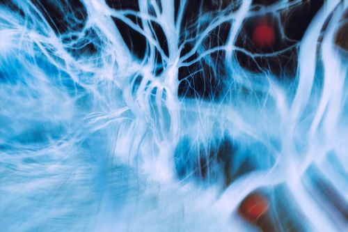 Free Surreal abstract image of a forest with glowing blue trees creating a mystical atmosphere. Stock Photo