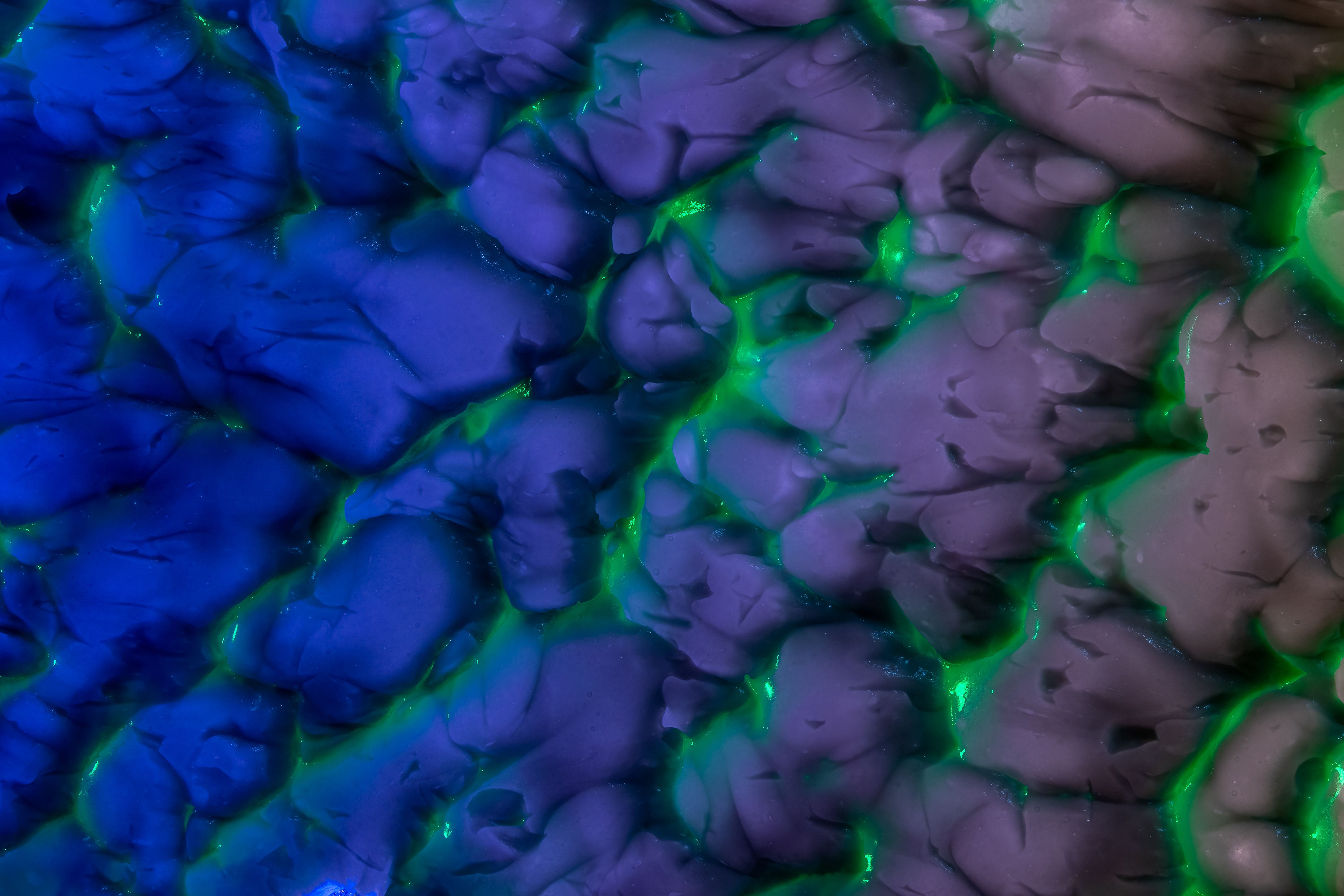 Neurons in healthy brain