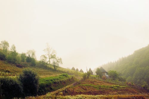 Free stock photo of early morning, foggy landscape, green valley Stock Photo