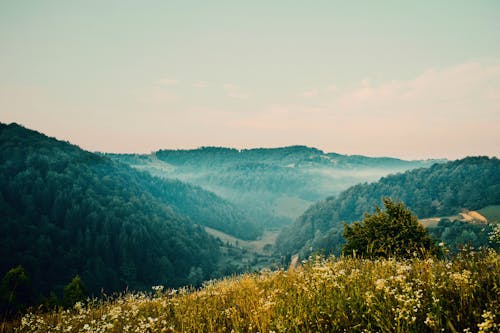 dağ vadisi, yeşil dağlar, yeşil vadi içeren Ücretsiz stok fotoğraf