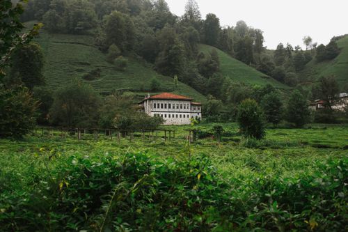 Free A picturesque hillside with a traditional house surrounded by lush greenery, creating a serene and peaceful landscape. Stock Photo