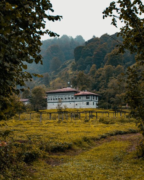Free Scenic view of a country house surrounded by lush forest landscape, captured in vibrant earthy tones. Stock Photo