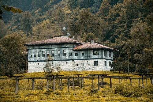 Free A charming traditional house nestled in a lush forest landscape during early autumn. Stock Photo