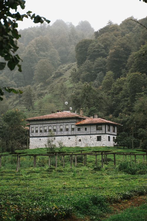 Free A beautiful historic house nestled in a lush, green forest landscape, surrounded by nature. Stock Photo