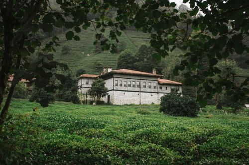 Free Traditional country house surrounded by lush green landscape and hills. Stock Photo