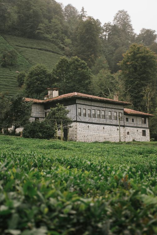 Free A picturesque traditional house set against a lush green hillside, capturing serene nature. Stock Photo