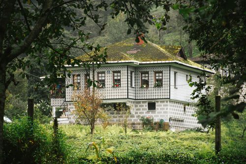 Free A picturesque traditional house surrounded by greenery and forest, captured in lush detail. Stock Photo
