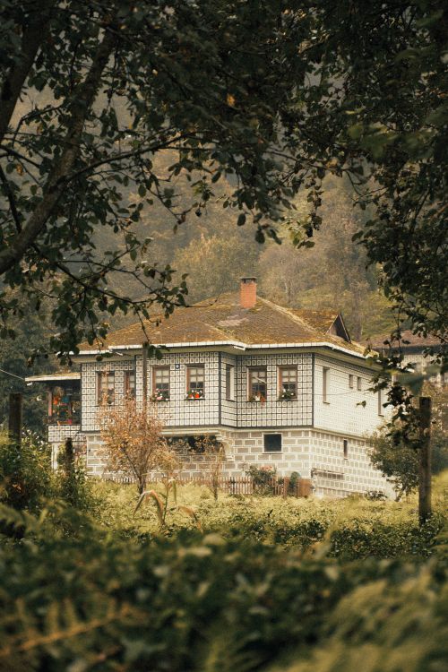 Free Beautiful vintage house surrounded by lush forest, perfect for nature retreats. Stock Photo