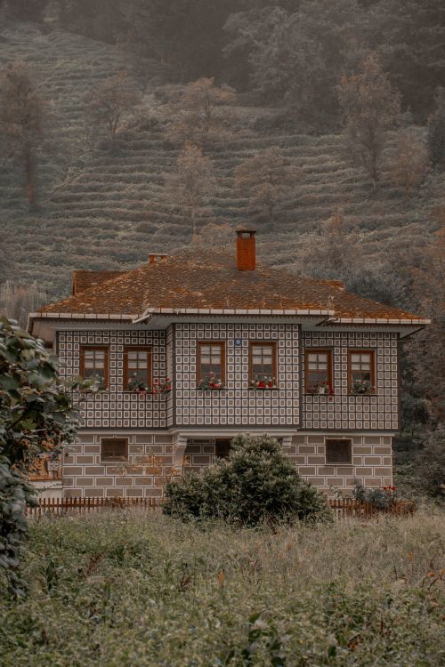 Free A cozy house nestled in a lush, forested hillside, evoking tranquility and natural beauty. Stock Photo