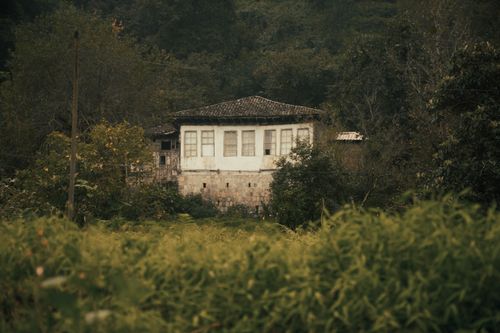Free A traditional stone house nestled in a lush green forest, showcasing rustic architecture. Stock Photo