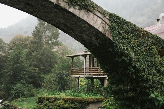 Historic stone bridge covered with ivy and surrounded by dense forest in a serene landscape.